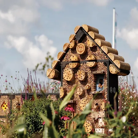 Sustainable On The Brielse Meer * Zwartewaal